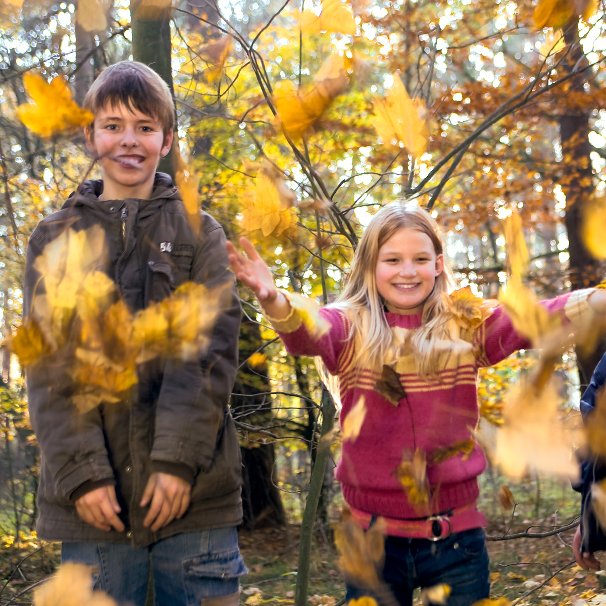 Kinder der Tagesgruppe spielen fröhlich im Laub und werfen Blätter in die Luft